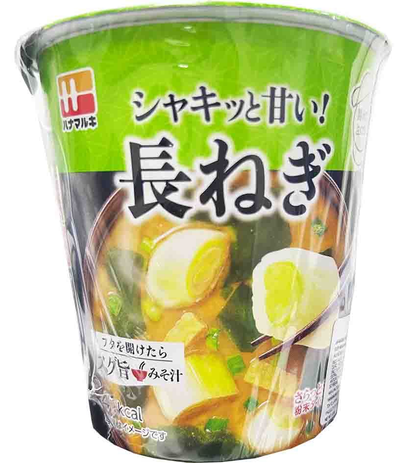 INSTANT SOUP